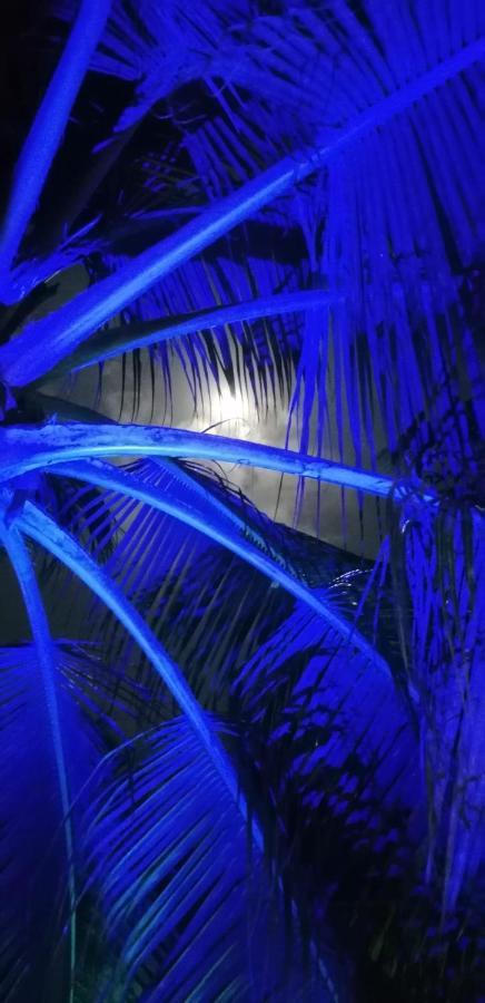 Little Pompeji Boutique Hotel - Adults Only Jambiani  Exterior foto